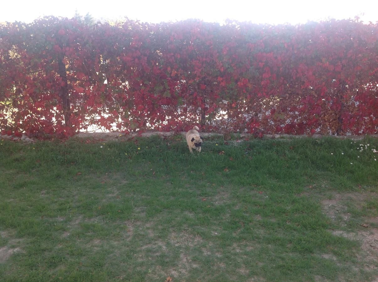 Апартаменты Apartments Sport Сутоморе-17