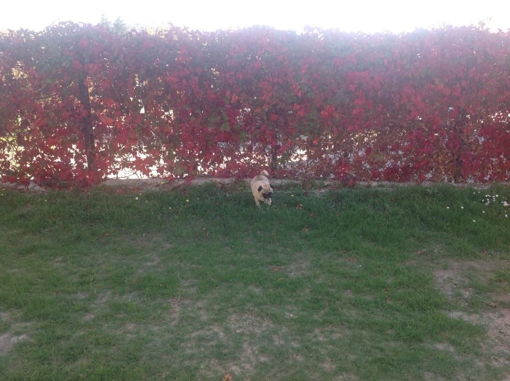 Апартаменты Apartments Sport Сутоморе-45