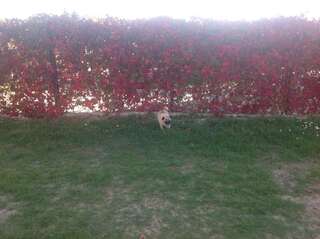 Апартаменты Apartments Sport Сутоморе Апартаменты-студио-3